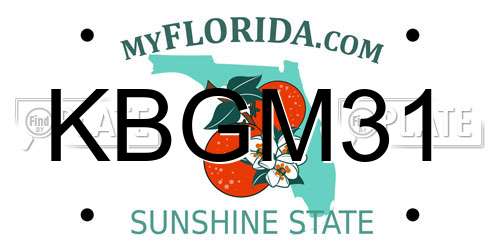 KBGM31 Florida License Plate