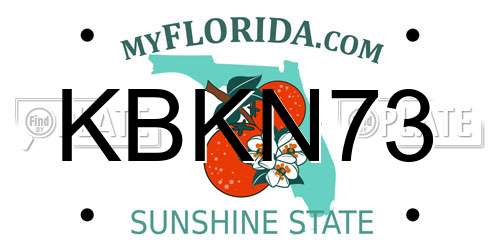 KBKN73 Florida License Plate