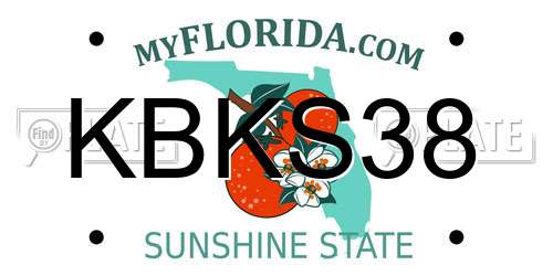 KBKS38 Florida License Plate