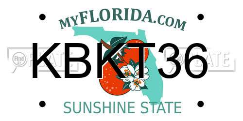 KBKT36 Florida License Plate