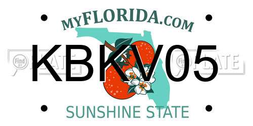 KBKV05 Florida License Plate