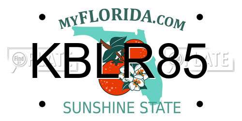 KBLR85 Florida License Plate