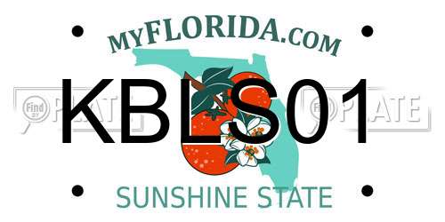KBLS01 Florida License Plate