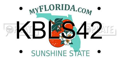 KBLS42 Florida License Plate