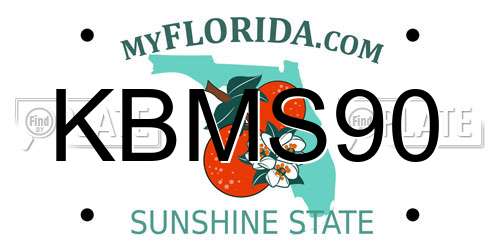KBMS90 Florida License Plate