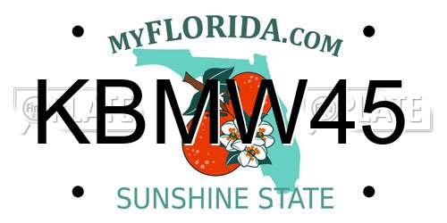 KBMW45 Florida License Plate