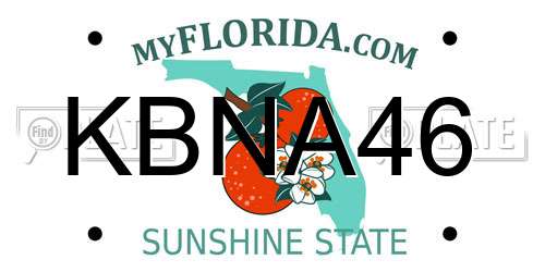 KBNA46 Florida License Plate