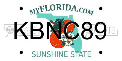 KBNC89 Florida License Plate