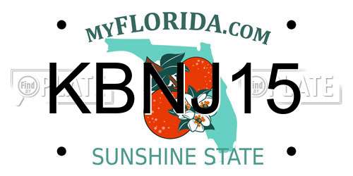KBNJ15 Florida License Plate