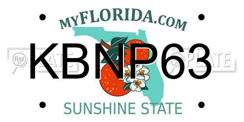 KBNP63 Florida License Plate