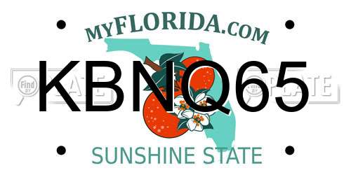 KBNQ65 Florida License Plate
