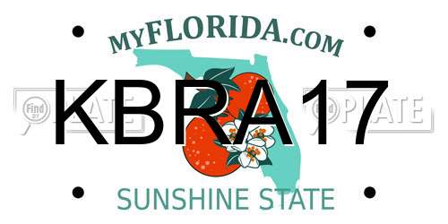 KBRA17 Florida License Plate