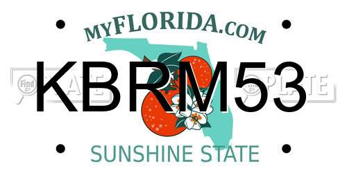 KBRM53 Florida License Plate
