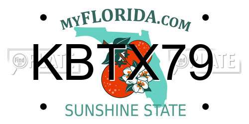 KBTX79 Florida License Plate