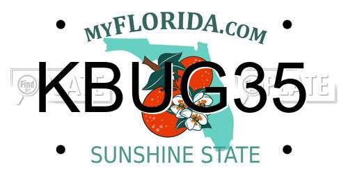 KBUG35 Florida License Plate
