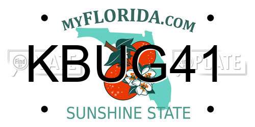 KBUG41 Florida License Plate