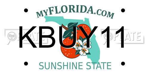 KBUY11 Florida License Plate