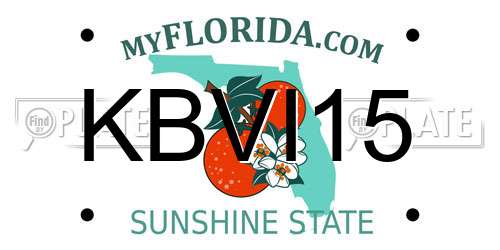KBVI15 Florida License Plate
