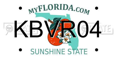 KBVR04 Florida License Plate