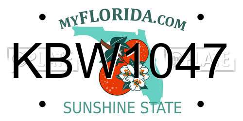 KBW1047 Florida License Plate