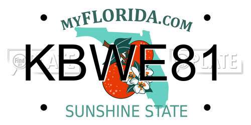KBWE81 Florida License Plate