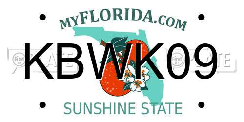 KBWK09 Florida License Plate