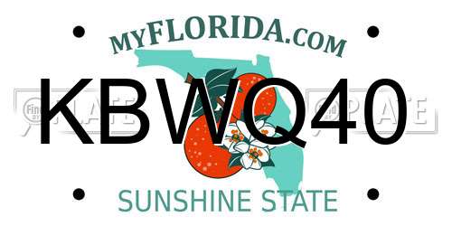 KBWQ40 Florida License Plate