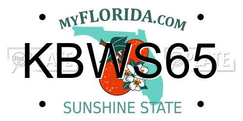 KBWS65 Florida License Plate