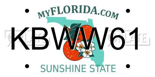 KBWW61 Florida License Plate