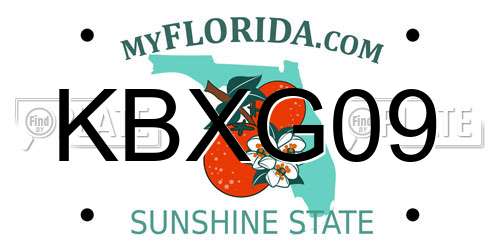 KBXG09 Florida License Plate