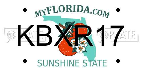 KBXR17 Florida License Plate