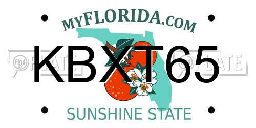 KBXT65 Florida License Plate