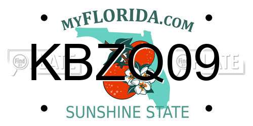 KBZQ09 Florida License Plate