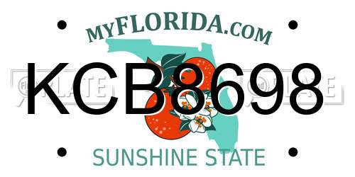 KCB8698 Florida License Plate