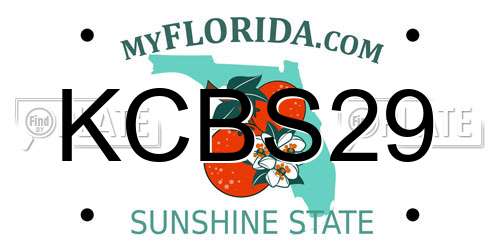 KCBS29 Florida License Plate