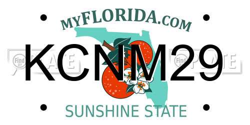 KCNM29 Florida License Plate