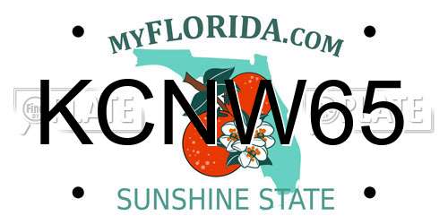 KCNW65 Florida License Plate