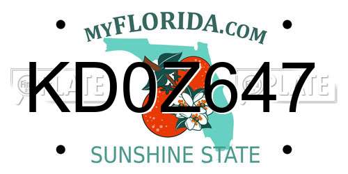 KD0Z647 Florida License Plate