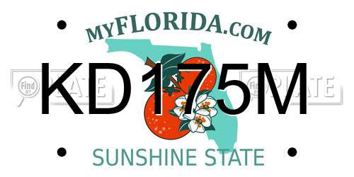 KD175M Florida License Plate
