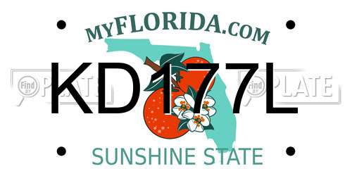 KD177L Florida License Plate