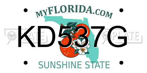 KD537G Florida License Plate