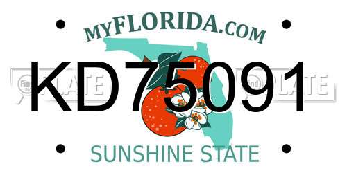 KD75091 Florida License Plate