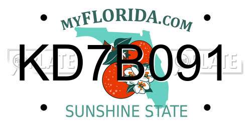 KD7B091 Florida License Plate