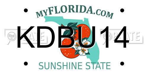 KDBU14 Florida License Plate