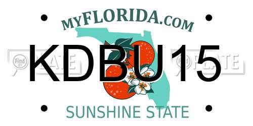 KDBU15 Florida License Plate