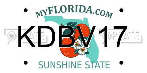 KDBV17 Florida License Plate