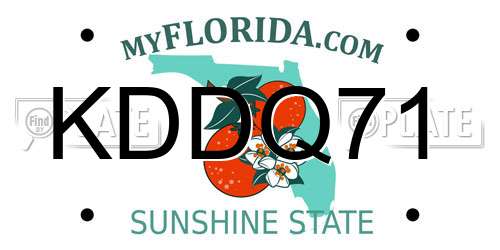 KDDQ71 Florida License Plate