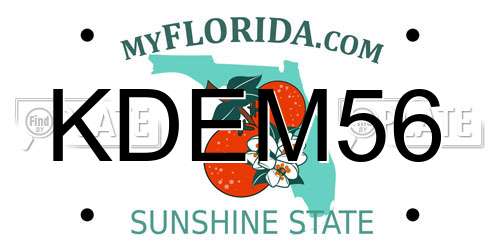 KDEM56 Florida License Plate