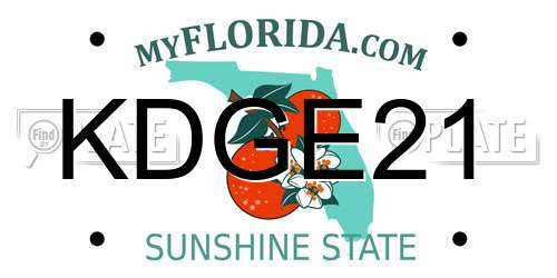 KDGE21 Florida License Plate