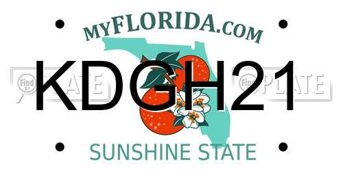 KDGH21 Florida License Plate